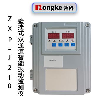 ZXP-J210(壁挂式)双通道振动监测仪