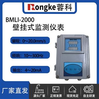 RK/BMLI-2000壁挂式监测仪表