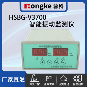 HSBG-V3700/RK振动检测表
