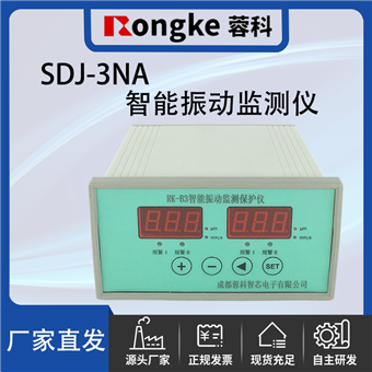 SDJ-3NA/RK振动检测表