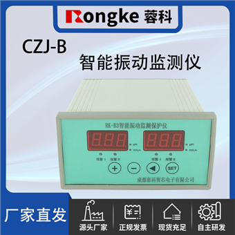 CZJ-B/RK振动检测表
