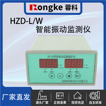HZD-L/W/RK振动检测表